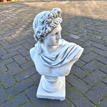 Borstbeeld Apollo 55cm