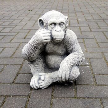 Chimpansee aap 36cm