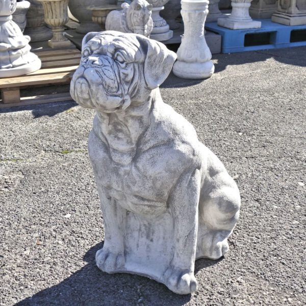 Boxer honden tuinbeeld beton