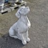 Duitse Dog 105cm