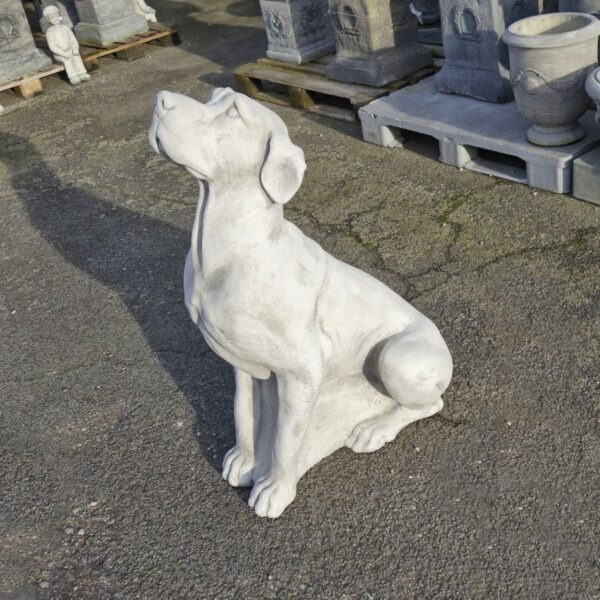 Duitse Dog 105cm tuinbeeld hond