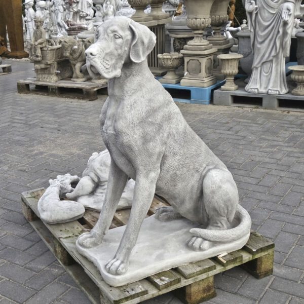 Duitse Dog 102cm