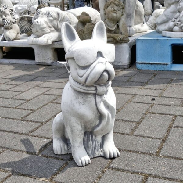 Hond met Bril (Franse Bulldog)