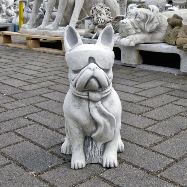 Hond met Bril (Franse Bulldog)
