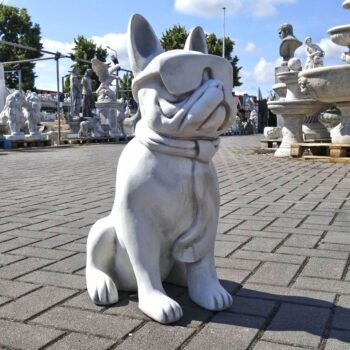 Hond met Bril groot (Franse Bulldog)