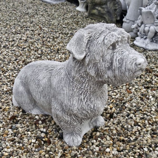 Irish Glen Of Imaal Terrier tuinbeeld