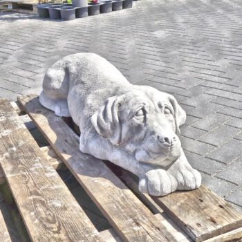Labrador liggend tuinbeeld hond