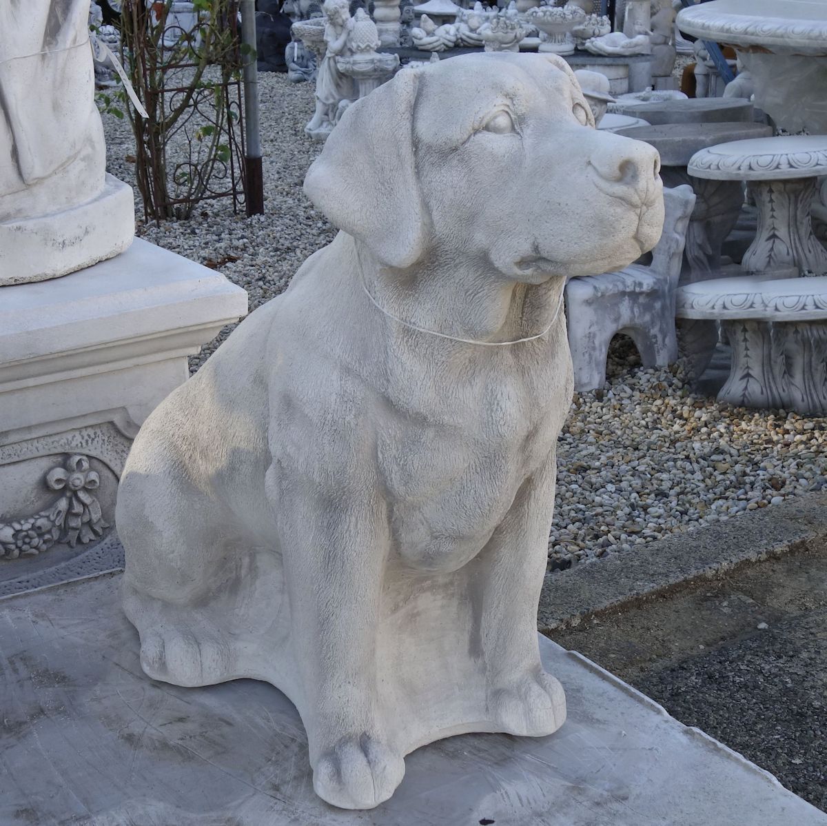 Turbulentie vervolgens Veilig Labrador. Weerbestendig betonnen tuinbeeld voor in uw tuin.