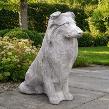 Schotse Collie betonnen tuinbeeld