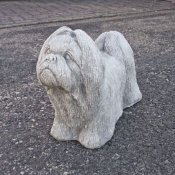 Shih Tzu Tuinbeeld Hond.