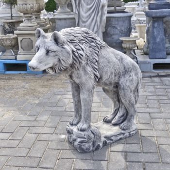 Wolf op rots Beeld beton tuin.