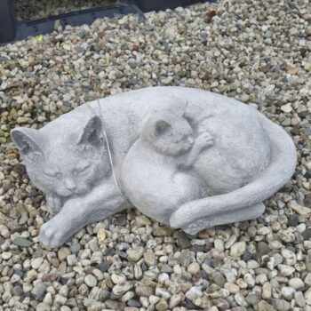Kat slapend met kitten