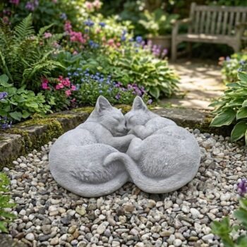 Twee slapende katten