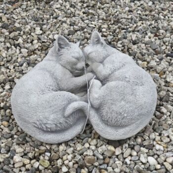 Twee slapende katten