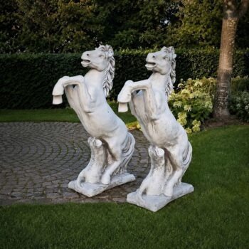 Paard steigerend groot