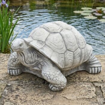 Schildpad 20kg betonnen tuinbeeld