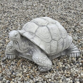 Schildpad 20kg tuinbeeld