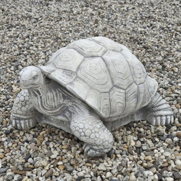 Schildpad 20kg tuinbeeld