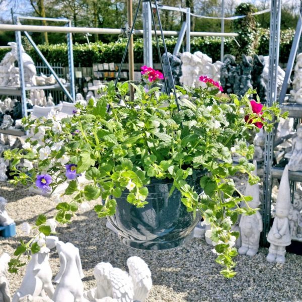 Mix hangpotten planten in hangpot