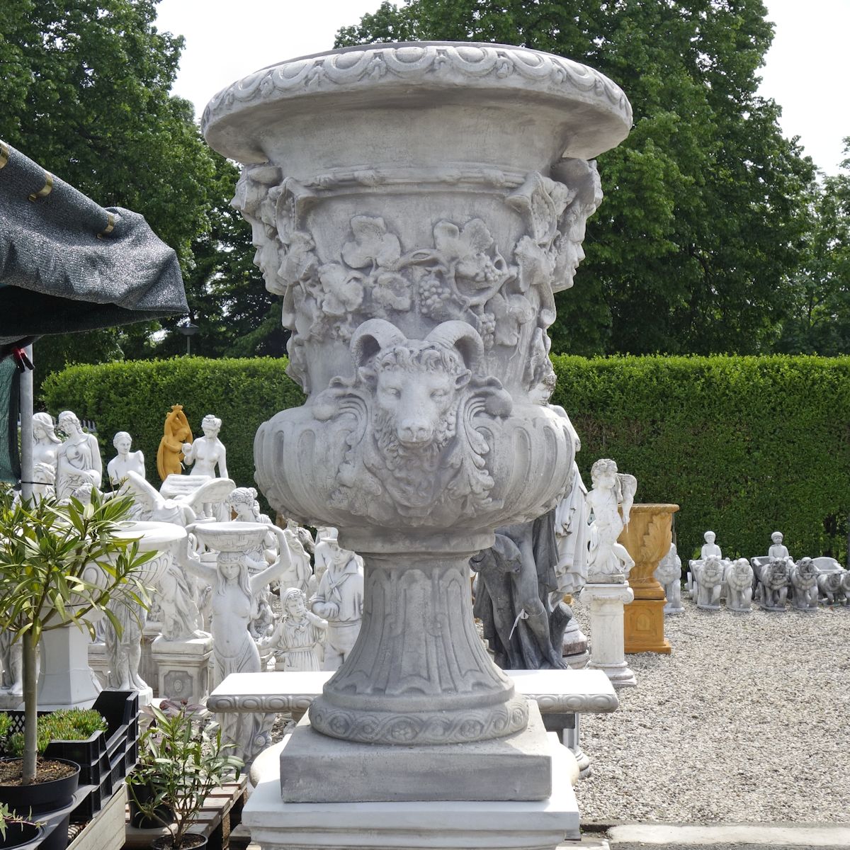 Vaas groot ramskop en mensenhoofd Vaas beton tuin.